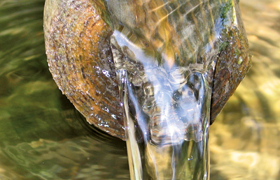 Leben in Fülle – Das Johannesevangelium