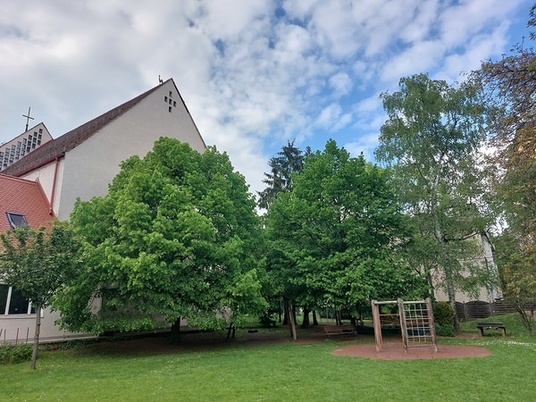 Der Himmel geht über allen auf: daran glauben wir, darauf hoffen wir und alle sind eingeladen zum Fest des Glaubens!