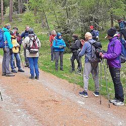 10 Pfarren machen eine Wallfahrt nach Mariapfarr im Lungau.