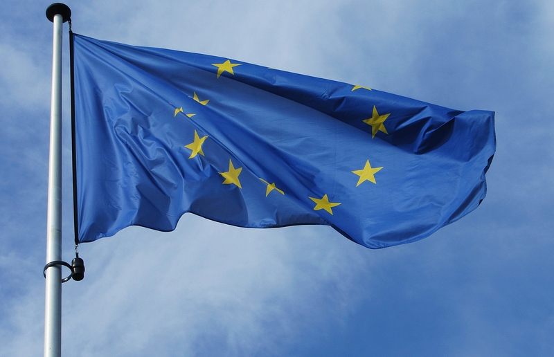 Am 26. Mai wählt ganz Europa ein neues EU-Parlament.