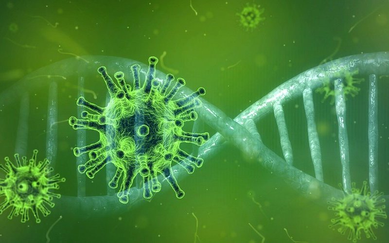 Pixabay/TheDigitalArtist Das Coronavirus hält die Welt in Atem