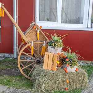 Ein wunderschönes Erntedankfest- 50 Jahre Pfarrkindergarten