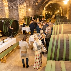 Bischöfliches Weingut in Seggau stiftet Jubiläumswein anlässlich 100 Jahre Caritas.
