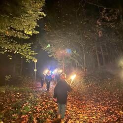Auf dem Weg durch den Wald.