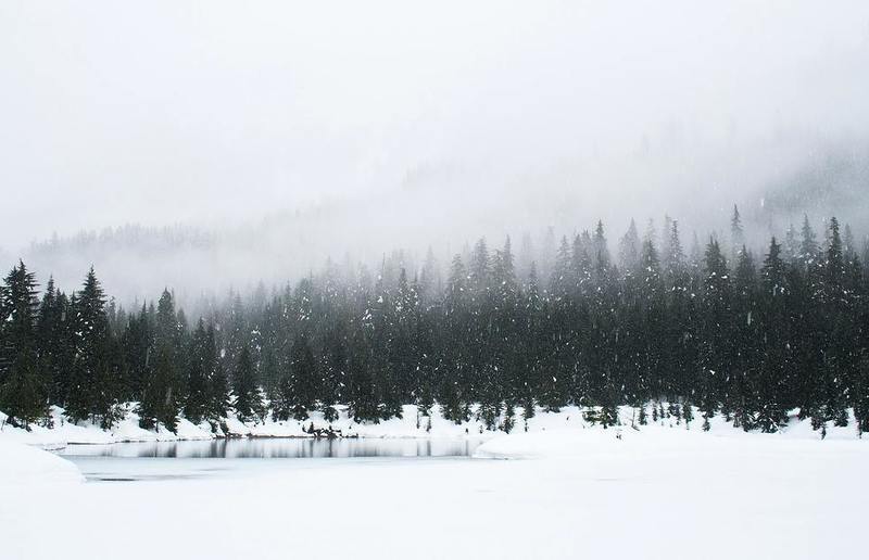 Adam Chang, Unsplash Leise rieselt der Schnee, still und starr ruht der See ...
