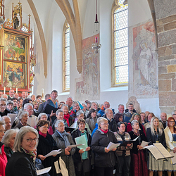 10 Pfarren machen eine Wallfahrt nach Mariapfarr im Lungau.