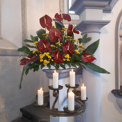 14. - 16. September 2015