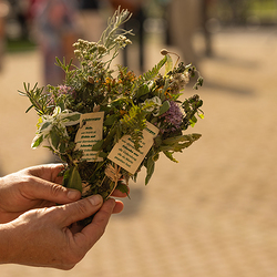 Kräuterbündel zu Maria Himmelfahrt