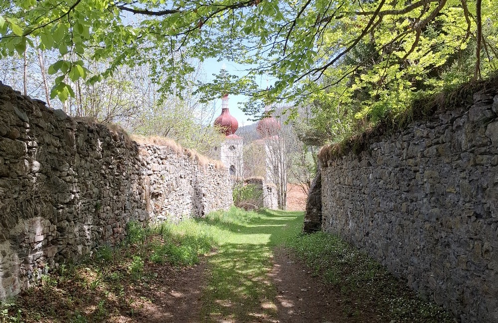 Gertraud Harb