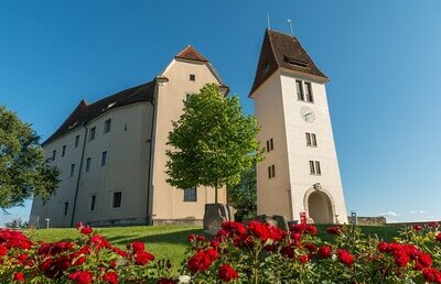 Auf Schloss Seggau findet heuer zum 21. Mal die 'Graz International Summer School Seggau' statt.