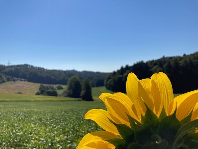 Marlies Prettenthaler-Heckel