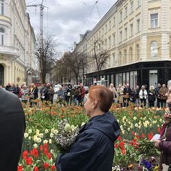 Stadtpfarrkirche Graz, Hl. Blut