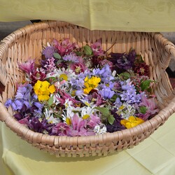 Blumen für das Evangeliar