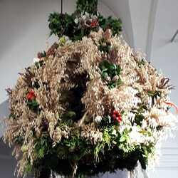 Pfarre Kirchberg an der Raab