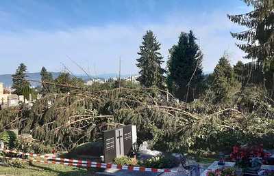 Die betroffenen Areale des Friedhofes sind zur Zeit gesperrt.