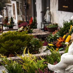 Pfarre St. Anna am Aigen