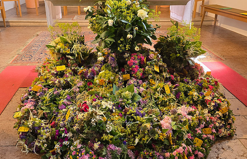 Rund um das Fest der Geburt des hl. Johannes des Täufers werden in der Pfarre St. Michael Blumen und Kräuter gesegnet