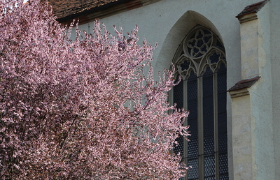 Die Schönheit der Natur (wie hier in der Allmende Leech) kann das Lächeln Jesu Christi sein.