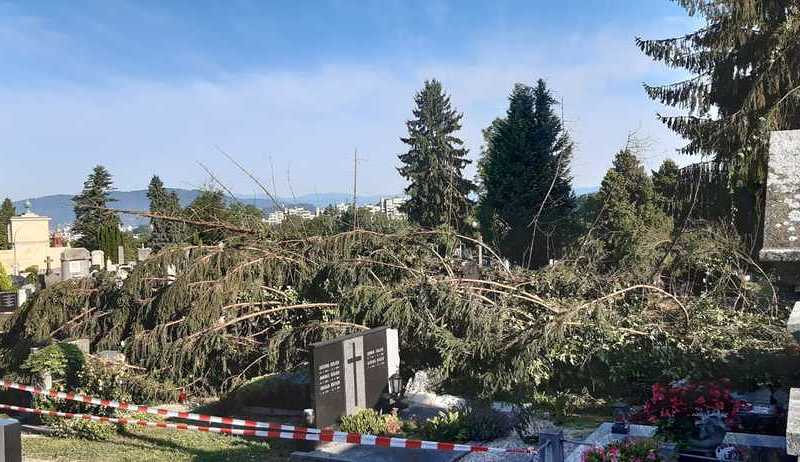 Die betroffenen Areale des Friedhofes sind zur Zeit gesperrt.
