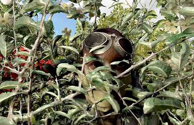 Einblick in den Kurzdokumentarfilm 'How to disappear'.