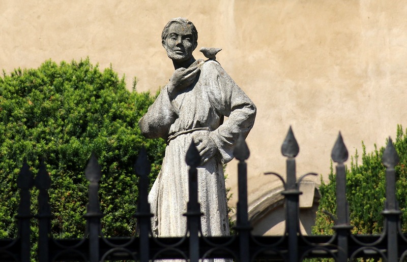 Weil Franz von Assisi in vielen seiner Erzählungen und Predigten die Gleichheit von Mensch und Tier erwähnte, gilt er als einer der ersten Tierschützer in der Geschichte. 