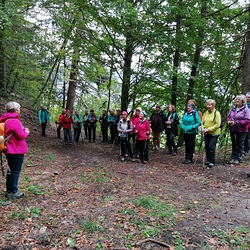 Impuls zum Innehalten von Roswitha