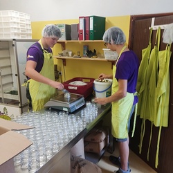 Projekt Wurzeln schlagen im Stiftsgarten domenico
