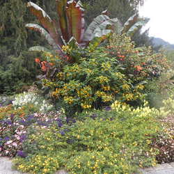 14. - 16. September 2015