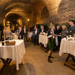 Bischöfliches Weingut in Seggau stiftet Jubiläumswein anlässlich 100 Jahre Caritas.