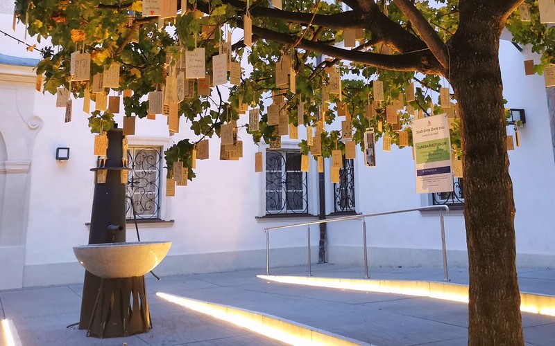 Ab 6. September können im Brunnenhof  Dankebotschaften an den Baum gehängt werden.