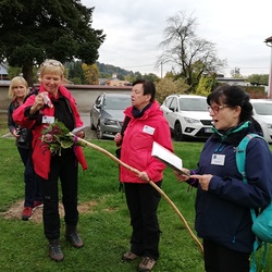 Segnung der Kräuter & Blumen am Pilgerstab
