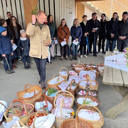 Pfarre Graz-St. Peter