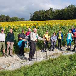 Pilgern am Papst-Franziskus-Pilgerweg von der Basilika Mariatrost zum Weizberg