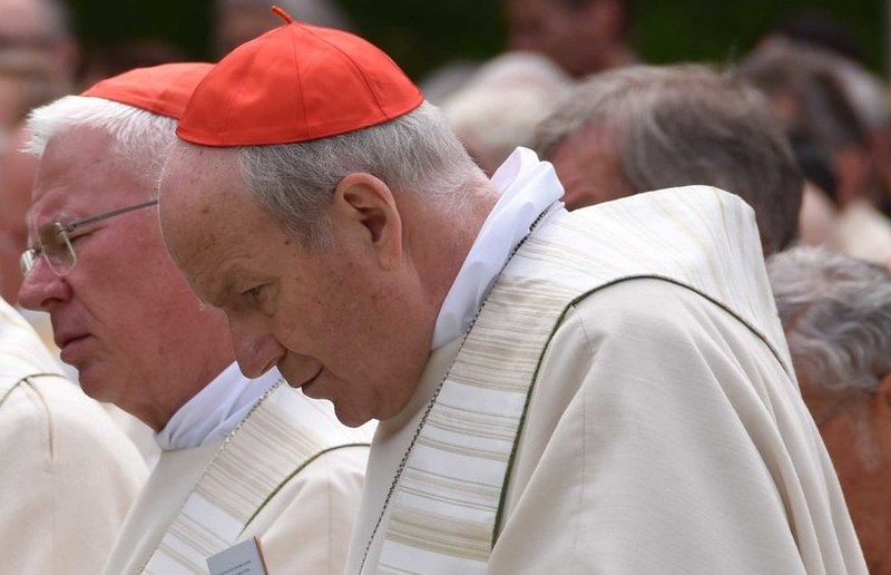 Foto: Christian Brunnthaler Kardinal Schönborn stellt klar, dass nicht er das Missbrauchsopfer sei.