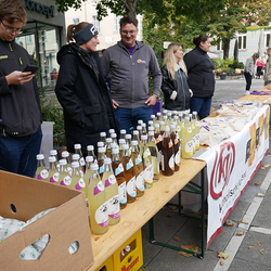 Startfest 72h ohne Kompromiss