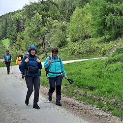 10 Pfarren machen eine Wallfahrt nach Mariapfarr im Lungau.